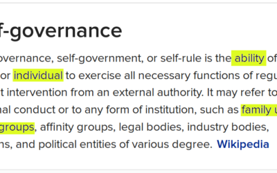 Bloomberg had to retract their statement that Chad and Nadia proclaimed their own nation